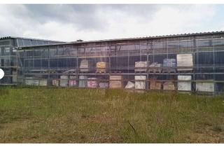 Gewerbeimmobilie kaufen in 19300 Grabow, 6.643 m² Gewerbegrundstück mit Baustoffmarkt in Grabow - Gewerbeobjekt mit Ausbau