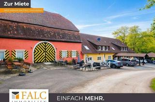Gewerbeimmobilie mieten in 74219 Möckmühl, Geschäftsleute aufgepasst! Großzügiges Mietobjekt mit vielen Nutzungsmöglichkeiten - FALC Immobilien