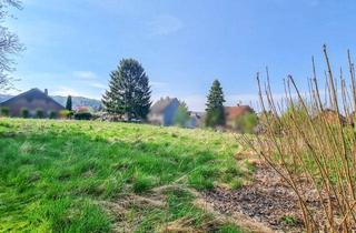 Grundstück zu kaufen in 38704 Liebenburg, Baugrundstück in Groß Döhren – Ideal für Ihr Eigenheim