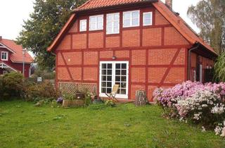 Wohnung mieten in 17498 Mesekenhagen, Gemütliche 2-Zimmer-Wohnung in Gristow (Mesekenhagen)