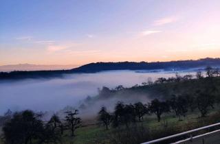 Wohnung mieten in Dorfstraße 44, 88696 Owingen, Helle 4-Zimmer-Wohnung mit Balkon in Owingen-Taisersdorf