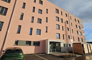 Sozialwohnungen mieten in Hannelore-Hermann-Straße 15, 56070 Lützel, Erstbezug: Moderne 2-Zimmer-Wohnung mit Balkon im 2. OG in Koblenz