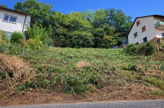 Grundstück zu kaufen in 69245 Bammental, Erschlossenes Baugrundstück in Bammental - ruhige Waldrandlage