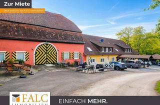 Gewerbeimmobilie mieten in 74219 Möckmühl, Geschäftsleute aufgepasst! Großzügiges Mietobjekt mit vielen Nutzungsmöglichkeiten - FALC Immobilien