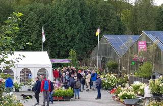 Immobilie kaufen in 37247 Großalmerode, Hortensienpark Erbsmühle – Besucher­magnet mit Gärtnerei, Café, PV-Erträgen & Entwicklungsspielraum