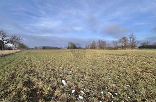 Gewerbeimmobilie kaufen in 31604 Raddestorf, Solide Ergänzungsfläche: ca. 16.420 m² Land-/Forstgrundstück in Raddestorf