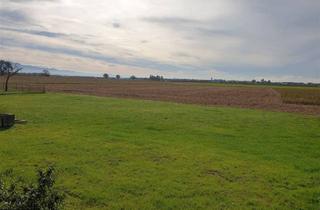 Einfamilienhaus kaufen in 77836 Rheinmünster, Attraktives Grundstück mit Perspektive: Sanieren oder neu entwickeln