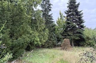 Immobilie kaufen in 16515 Oranienburg, Grundstück Oranienburg – Planungsrecht gemäß B-Plan