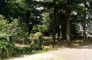 Immobilie kaufen in 15831 Mahlow, Baugrundstück in zweiter Reihe- ruhig gelegen, gut erreichbar