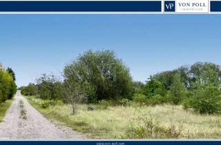 Immobilie kaufen in 29562 Suhlendorf, Naturnah leben, entspannt bauen – Ihr Grundstück in ländlicher Umgebung von Suhlendorf