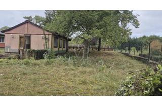 Immobilie kaufen in 17454 Zinnowitz, Wohnglück am Küstenwald: Großes Grundstück nahe Strandweg