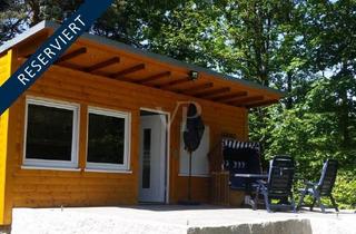 Haus kaufen in 01445 Radebeul, WOCHENENDGRUNDSTÜCK MIT MODERNEM FLACHBAU