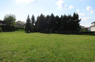 Immobilie kaufen in 96237 Ebersdorf, Baugrundstück - Bauträger geeignet