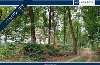 Immobilie kaufen in 47608 Geldern, Wald kaufen, Freiheit spüren: Mischwald in Geldern-Walbeck verfügbar