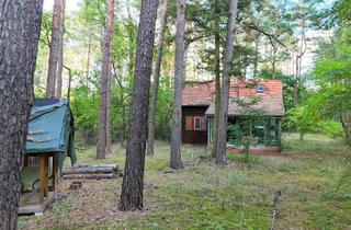 Immobilie kaufen in 14822 Borkheide, Wohnen im Einklang mit der Natur 1.532 m² Baugrundstück ohne Bauträgerbindung