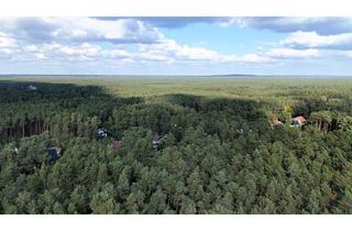 Immobilie kaufen in 14822 Borkheide, Jetzt zum neuen Angebotspreis – großzügiges Baugrundstück mit 1.532 m² und ohne Bauträgerbindung