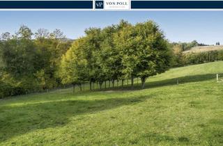 Immobilie kaufen in 59939 Olsberg, Ruhe. Natur. Zuhause – Baugrundstück mit Garten direkt an der Ruhr