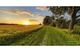 landwirtschaftliche Fläche kaufen in 37434 Germershausen, Div. Landwirtschaftsflächen - provisionsfrei