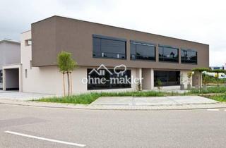 Büro zu mieten in Am Breilingsweg 13, 76709 Kronau, Hochwertige Bürofläche mit optionaler Lagerhalle