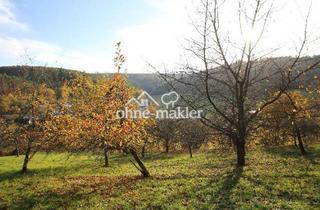 Immobilie kaufen in An Der Roten Mauer, 64747 Breuberg, PROVISIONFREIES BAUGRUNDSTÜCK, TEILBAR, ruhige Süd-West Lage am Wald, Erschlossen, TEILUNGSVERST.