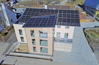 Wohnung mieten in Landshuter Straße 51, 84109 Wörth, Moderne 2-Zimmerwohnung, 50 qm, Neubau mit EBK - Erstbezug