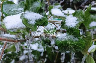 Immobilie kaufen in 12683 Berlin, Schönes Baugrundstück in Berlin Biesdorf-Süd zu verkaufen