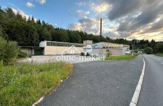 Gewerbeimmobilie kaufen in Klingenthaler Hauptstraße 23e, 08262 Muldenhammer, Gewerbeimmobilie mit Entwicklungspotenzial – ca. 6.000 m² Nutzfläche provisionsfrei im Share Deal