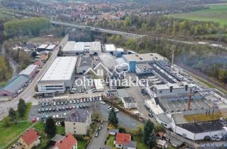 Gewerbeimmobilie mieten in 01809 Dohna, Kaltlagerfläche zu vermieten (Gebäude O1)