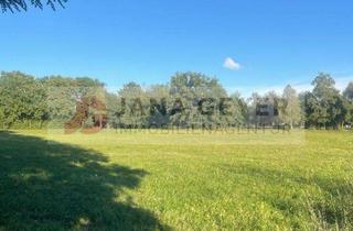 Grundstück zu kaufen in 06905 Bad Schmiedeberg, BAD SCHMIEDEBERG * GROSSZÜGIGES BAUGRUNDSTÜCK (B/SO) * DIREKT AM KURPARK von BAD SCHMIEDEBERG