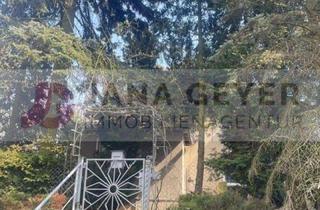 Einfamilienhaus kaufen in Schmiedeberger Weg 10, 06905 Bad Schmiedeberg, BAD SCHMIEDEBERG * GROSSES GRUNDSTÜCK mit EINFAMILIENHAUS (sanierungsbedürftig) * leerstehend * ab sofort zur Verfügung