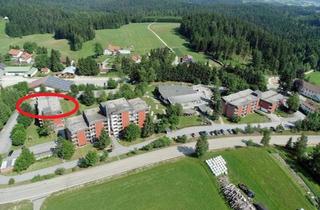 Wohnung kaufen in 94089 Neureichenau, Neureichenau - Zum Kauf: schöne Wohnung in Neureichenau im Bayerischen Wald