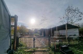 Einfamilienhaus kaufen in 15306 Seelow, Seelow - Saniertes Einfamilienhaus mit Pferdeparadies