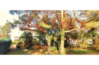 Einfamilienhaus kaufen in 96110 Scheßlitz, Scheßlitz - TOP LAGE IM BESTANDSWOHNGEBIET TRAUMHAFTEN GARTEN MIT SÜDAUSRICHTUNG IN SCHESSLITZ