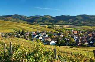 Wohnung mieten in 79238 Ehrenkirchen, Ehrenstetten- großzügige Mietwohnung mit herrlichem Rundumbalkon