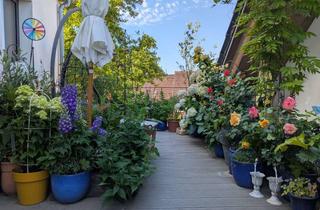 Wohnung mieten in 76831 Billigheim-Ingenheim, großzügige, lichtdurchflutete Wohnung im Energiesparhaus