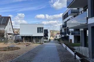 Wohnung mieten in 74321 Bietigheim-Bissingen, möbliertes 2 Zimmer Appartement in Bietigheim- Bissingen