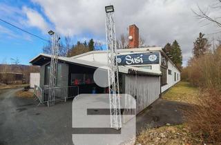 Gewerbeimmobilie kaufen in 95163 Weißenstadt, Gewerbeimmobilie in Bad Weißenstadt