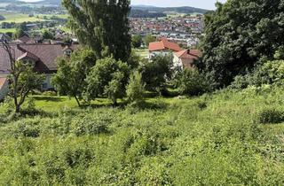 Haus kaufen in 94259 Kirchberg im Wald, Vielseitiges Anwesen mit Wohngebäude, Nebengebäuden und Gartengrundstück in Kirchberg i.W.