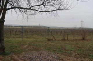 Haus kaufen in 55457 Gensingen, *Bieterverfahren* Industrielles kleines Häuschen mit Grundstück zur Pferdehaltung