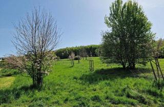 Wohnung kaufen in 56244 Ötzingen, Barrierefreie Neubau - Eigentumswohnung KfW 55 !