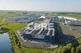 Gewerbeimmobilie mieten in 16727 Oberkrämer, 18.000 m² Logistikneubau mit Crossdock in attraktiver Lage