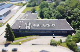Gewerbeimmobilie mieten in 72477 Schwenningen, 1.275 m² Hallenfläche auf zwei Etagen mit Lastenaufzug - Anmietung von Teilflächen möglich