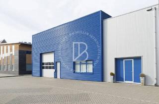 Büro zu mieten in 64319 Pfungstadt, "BAUMÜLLER AG" - ca. 600 qm Hallen-/Produktionsfläche + ca. 300 qm Bürofläche - ebenerdig