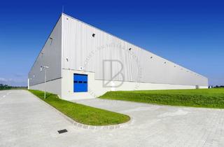 Gewerbeimmobilie mieten in 64331 Weiterstadt, "BAUMÜLLER AG" - ca. 2.000 qm - Hallenfläche - Top Anbindung!