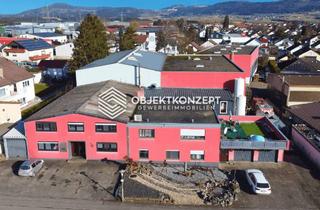 Gewerbeimmobilie kaufen in 78554 Aldingen, Betriebs- und Industrieobjekt mit großzügigen Hallen, Bürotrakt und Einliegerwohnung