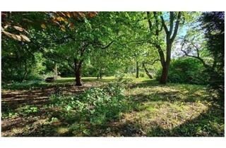 Grundstück zu kaufen in 14612 Falkensee, Sonniges Baugrundstück mit Baugenehmigung - sofort und ohne Makler verfügbar