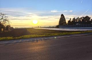 Grundstück zu kaufen in 67125 Dannstadt-Schauernheim, Baugrundstück mit unverbaubarem Weitblick