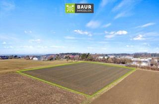 Grundstück zu kaufen in 88287 Grünkraut, Landwirtschaftliche Flächen in der Gemarkung Grünkraut zu verkaufen– derzeit verpachtet