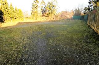 Grundstück zu kaufen in 26842 Ostrhauderfehn, Grundstücksverkauf mit Altbestand und der Option 19 Bungalows zu errichten