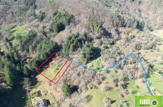 Gewerbeimmobilie kaufen in 76857 Dernbach, Kapitalanlage - Landwirtschaftsfläche - Ziegenweide - Obstwiese in 76857 Dernbach bei Annweiler zu V